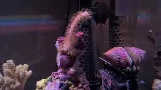 Update on project reef salvage.