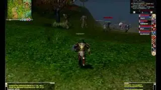 Knight Online Gameplay