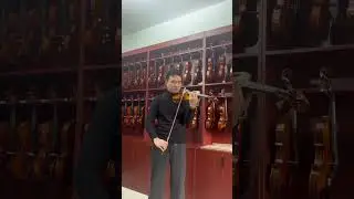 fine one piece back,strad model #violin #violintune #music #woodworking #violinist