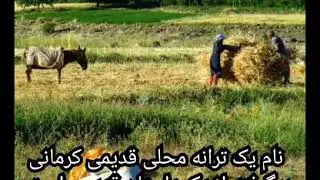 عکسهای ناب از ساگنو همراه با آهنگ زیبای گیسو گل