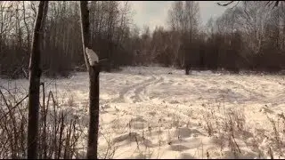 Rob's Long Over Due Hunt, The Wilderness Journal 19:17