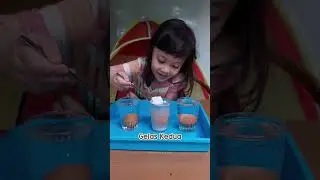 Eksperimen Sains - Telur Terapung, Melayang dan Tenggelam #shorts #playtime