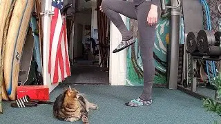 My cute friend joins me for a quick workout - Leg Day - Free Weights