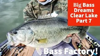 Fishing on the Bass Factory - Big Bass Dreams Clear Lake Part 7