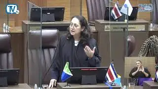Plenario Legislativo, sesi&oacute;n ordinaria #91, 02 diciembre 2025