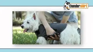 German (Deutsch) ThunderShirt Video