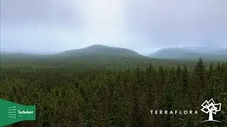 Часть 4. Prepar3D v4. Деревья для симулятора Terra Flora v1.20.