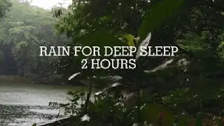 Peaceful Rainfall in a Green Forest Lake | Relaxing Nature Ambience 
