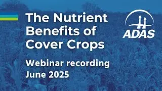 ADAS webinar recording 'The Nutrient Benefits of Cover Crops' - 23 June 2025