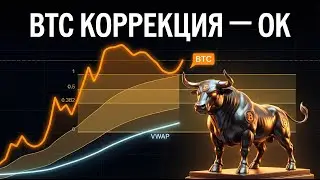 Локальный откат по BTC &mdash; без паники