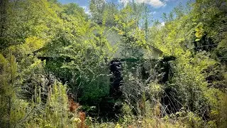 Exploring a Junky Abandoned House
