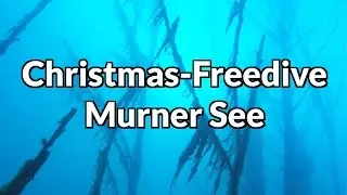 Murner See 