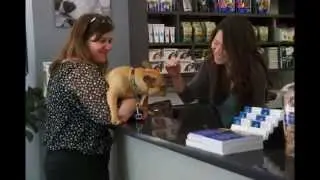 Seaport Animal Hospital Tour