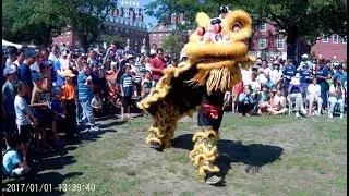 $63 Wimius 4K Action Camera L1 1080p60 Test footage - Dragon Boat Festival