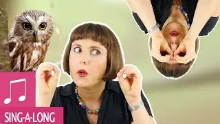 Halloween Songs for Kids - One Little Owl - Fingerplay - Alina Celeste - Songs for Children