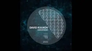 David Kulikov - Synthetiques
