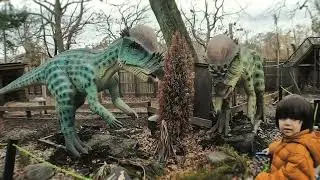 Family Adventure at Tanglewood Preserve: Exploring Nature & Dinosaurs!