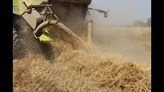 Récupérer les menues pailles avec l'éparpilleur