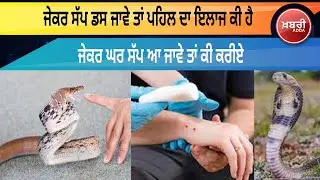 Snake Bite First Aid & Home Safety | Shocking Tips Revealed!