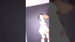 Spleens the cat as a . . . uhhhhhhhhh-