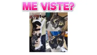 I NEED YOUR HELP #WhereIsMia