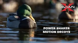 Avian X Power Shaker Motion Decoys
