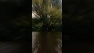 Летняя зарисовка ₽ #lake #beautifulcountryside #nature #shorts #travel #shortvideo #joy #funnyvideos