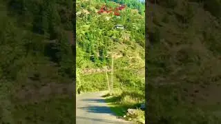 District Shangla Road Beautiful View Hill's #shangla #shanglatop #beautiful #beauty #kpk #pakistan