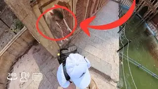 Monkey Temple Jaipur 360&deg;: What No One Tells You About These Monkeys&hellip;