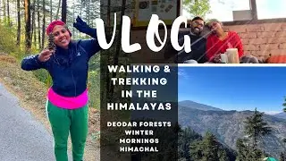 Misty Mountains | I love the mountains | Shimla | Kotgarh | Hiking Vlog | Gopro | 60FPS