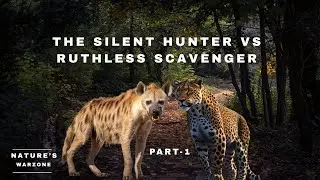 The Silent Hunter vs Ruthless Scavenger Part 1