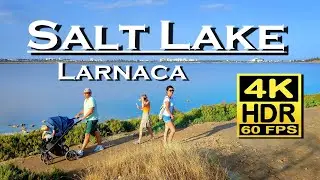 Соленое озеро Ларнака, Кипр, 4K 60fps HDR (UHD) Dolby Atmos 💖 Лучшие места 👀 Пешеходная экскурсия