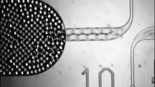 Microfluidic droplet with multi flow-rates control solutions