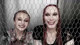 Moraffa-Katzen hinter Gittern