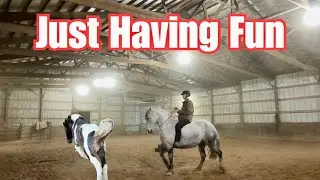From Young Horse Zoomies to Polished Liberty & Riding