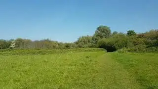 The Joy of Hackney Marshes (inc Leyton etc)