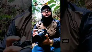 Bird photography 🔥 Nikon Coolpix #birds #shorts #shortvideo #viral #trending #reels #wildlife #short