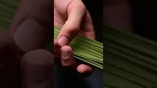 Have You Tried Using Green Tea Incense?