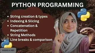 Python #3 | Strings in Python Explained &ndash; Beginner Friendly