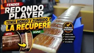Ajuste y Mantenimiento Fender Redondo Player