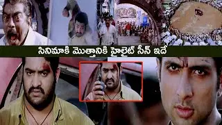 Young Tiger NTR High Voltage Action Scene || Ashok Movie || Sonu Sood || Sameera Reddy || Maa Show
