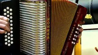 O'Brien's - Hohner Corona II Button Accordion.MOV