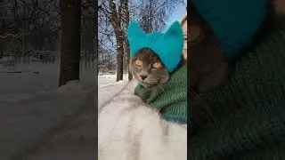 Кстати, такой случай реально был, мы как-то пошли в ТЦ и с нами фоткались просто на каждом этаже🫣