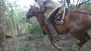 TOADA O VENTO FAZ REDEMOINHO