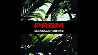 Djadja & Dinaz - PRBM (Audio Exclu 2020)