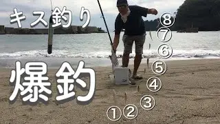 伊根町本庄浜でキスの連掛け！２時間半でクーラー満タン