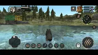 Wild Wolves. Hunting Forest Mice and Rabbits. || The Wolf