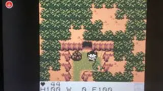 Survival Kids - Game Over