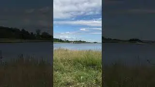 August 19, 2023. North Kingstown Calf Pasture from the bike path.