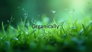 Organically | No Copyright Background Music | Science & Technology | Free to use